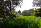 Serene Pastoral Scene