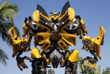 Bumblebee in Paradise
