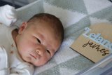 Welcome to the World, Leland James