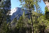Majestic Mountain Range View from the Forest