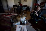 Christmas Day Chronicles: The Feline Muse