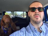 Man and his Hound on the Go
