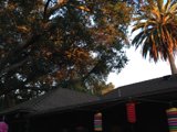 Summer Fun in Altadena