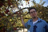Harvesting Apples on a Perfect Fall Day
