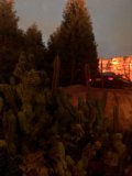 Desert Drive