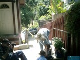 Outside the House with Potted Plants