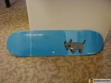 Skateboarding with Man's Best Friend