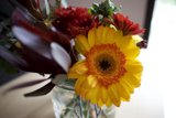 Vibrant Flowers in a Beautifully Crafted Vase