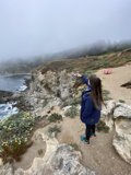 Capturing Nature's Beauty