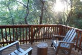 Nature's Dining Room