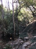 Into the Wilderness