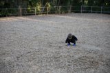Innocence Carved on Sand