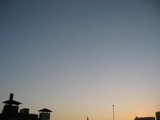 Sunset Flight