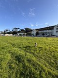 A Joyous Moment at Presidio