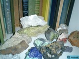Treasures from the Earth