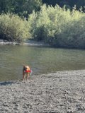 Coastal Playtime