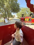 Summer Train Adventure