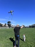 Whimsical Winds with Wesley
