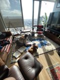 Relaxing with my Furry Friend