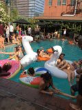 Inflatable Swans and Summer Fun at the Water Park