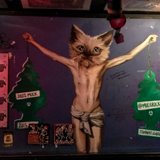 The Cat is Out of the Painting