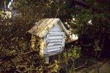 The Rustic Birdhouse of the Korean Countryside