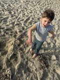 Sandy Adventures