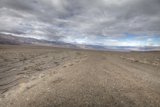 Desert Dreaming