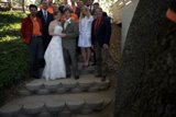 Wedding Party on the Stairs