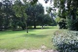 Serene Scene at the Park