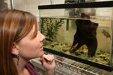Observing Aquatic Life