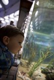 Mesmerized at the Academy: Wesley's Aquatic Adventure