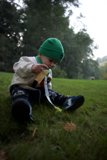 The Explorer - Wesley's Big Sur Adventure