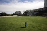 Soaring Dreams at Francisco Park