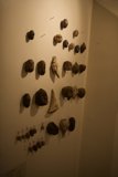 Eclectic Wall of Archaeological Finds