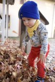 Autumn Chills and Toddler Thrills in Downtown Sonoma