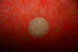 Brilliance Beyond the Red Wall