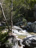 Serene Stream