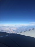 A Bird's Eye View