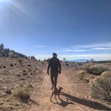 A Man and His Best Friend Take a Stroll