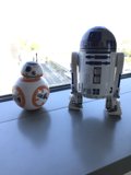 Robotic Companions