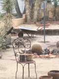 Lone Cactus and Desert Chair