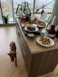 Hungry Pooch Eyes the Feast