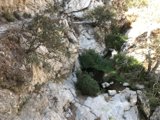 Slate Canyon Stream