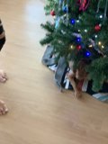 Festive Family and their Furry Friend