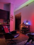Cozy Living Room in San Francisco