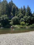 Paddling Through the Grove
