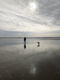 Walking Along the Shoreline