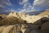 A Rocky Oasis