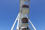 High-Flying Fun at the Amusement Park